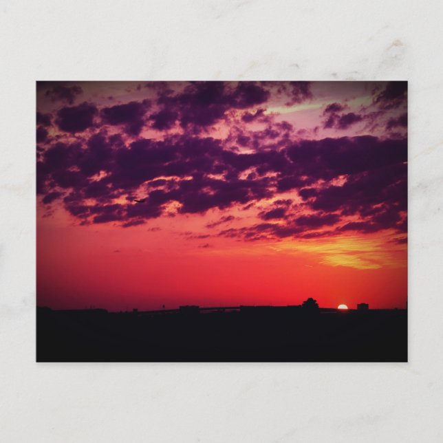 Tampa Bay Sunset Postkarte (Vorderseite)