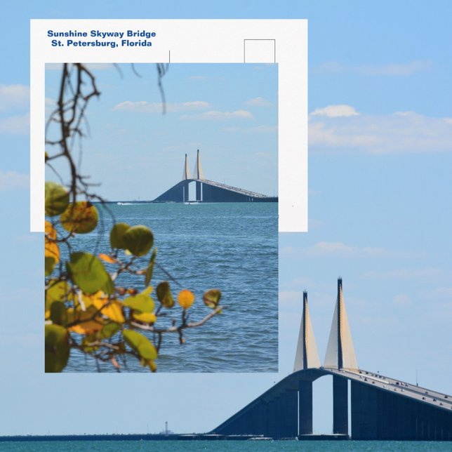 Tampa Bay Sunshine Skyway Bridge Fotografy Postkarte (Von Creator hochgeladen)