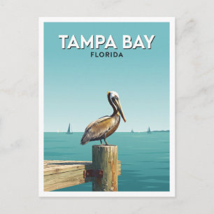 Tampa Bay-Ufer, Florida Postkarte