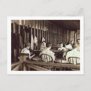 Tampa Cigar Boys, 1909 Postkarte