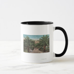 Tampa, FL - Ansicht des Tasse