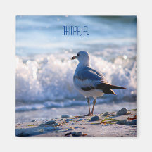 Tampa, FL-Kühlschrankmagnet