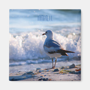 Tampa, FL-Kühlschrankmagnet Magnet