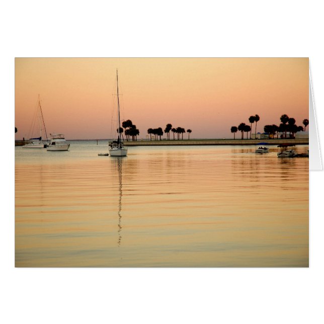 Tampa, Florida (Vorderseite (Horizontal))