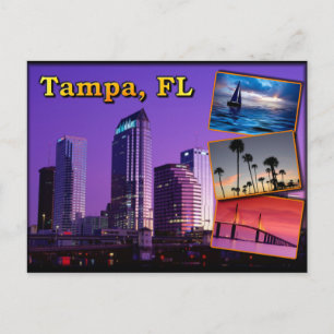 Tampa, Florida - der sonnige Staat Postkarte
