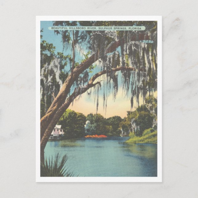 Tampa Florida Hillsborough River Sulfur Springs Postkarte (Vorderseite)