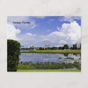 Tampa, Florida Postkarte