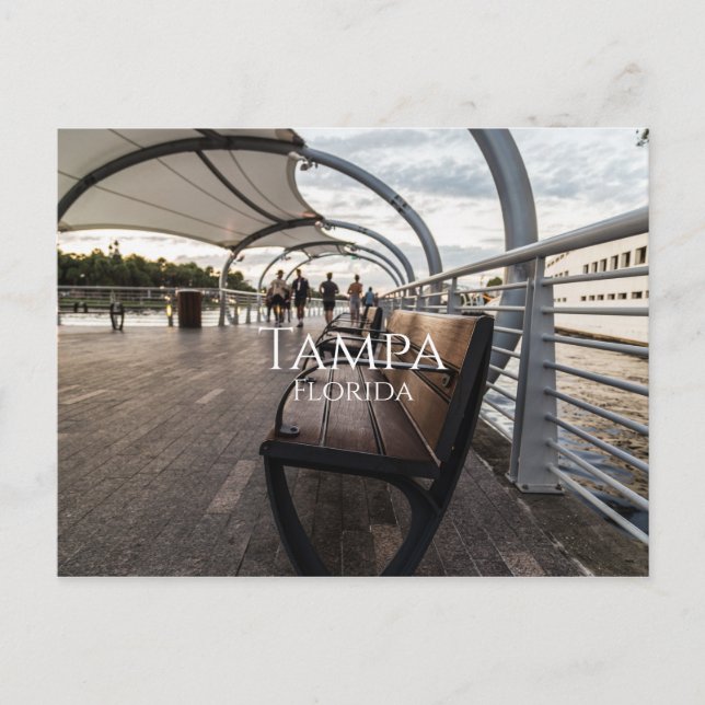 Tampa Florida Postkarte (Vorderseite)