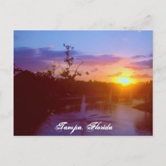 Tampa Florida Postkarte