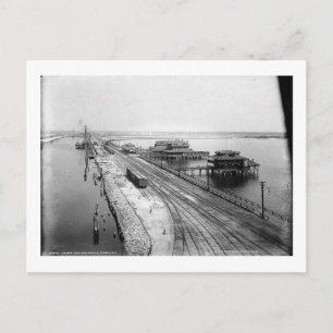 Tampa Inn and Docks, Tampa, Florida Vintag Postkarte
