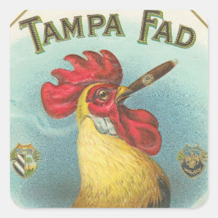 Tampa-Modeerscheinung Quadratischer Aufkleber
