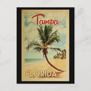 Tampa Postcard Palm Tree Vintage Travel Postkarte