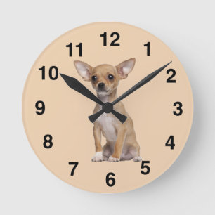Tan and White Chihuahua Runde Wanduhr
