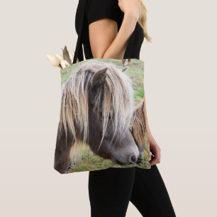 Tan Colored Shetland Pony,