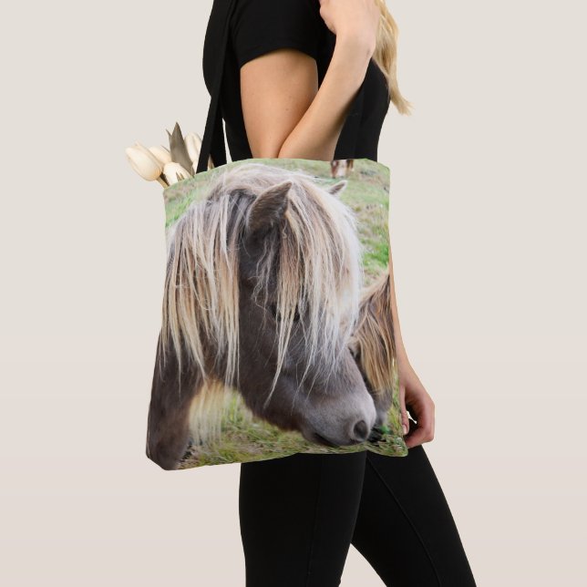 Tan Colored Shetland Pony, (Von Nahem)