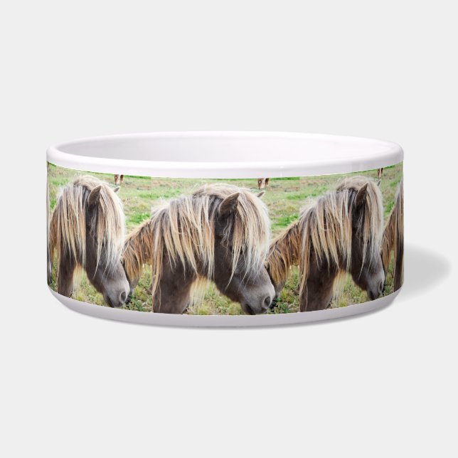 Tan Colored Shetland Pony, Napf (Vorderseite)