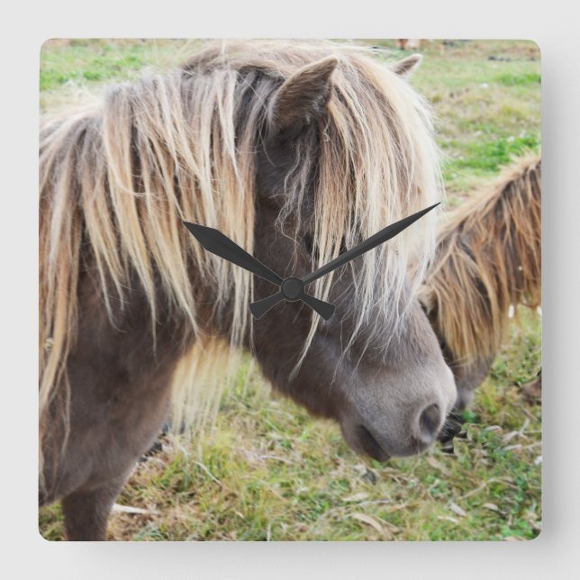 Tan Colored Shetland Pony, Quadratische Wanduhr (Vorderseite)