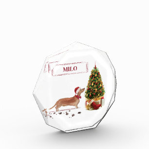 Tan Dackel Funny Christmas Dog mit Baum Fotoblock