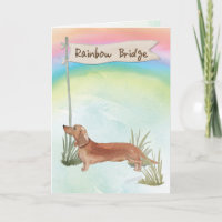 Tan Dackel Pet Beileid über Regenbogenbrücke