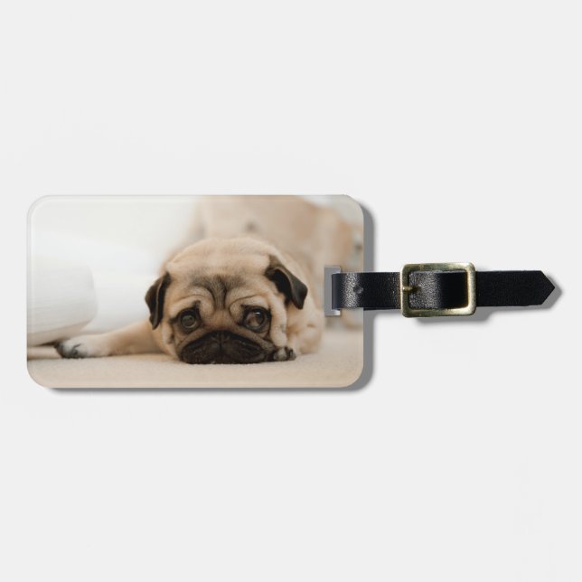 TAN-Frau-Mops Gepäckanhänger (Vorderseite horizontal)
