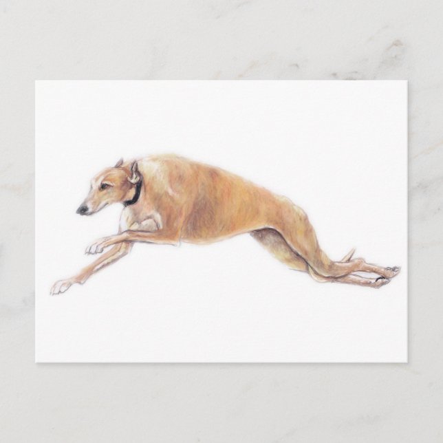 Tan Greyhound Running Hund Art Postcard Postkarte (Vorderseite)