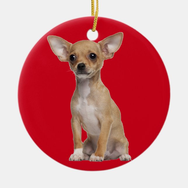 TAN und weiße Chihuahua Keramikornament (Vorne)