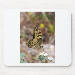 Tan und White Butterfly Mousepad
