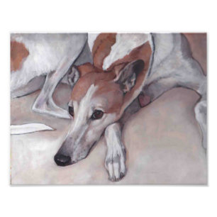 Tan und White Greyhound Dog Art Foto drucken