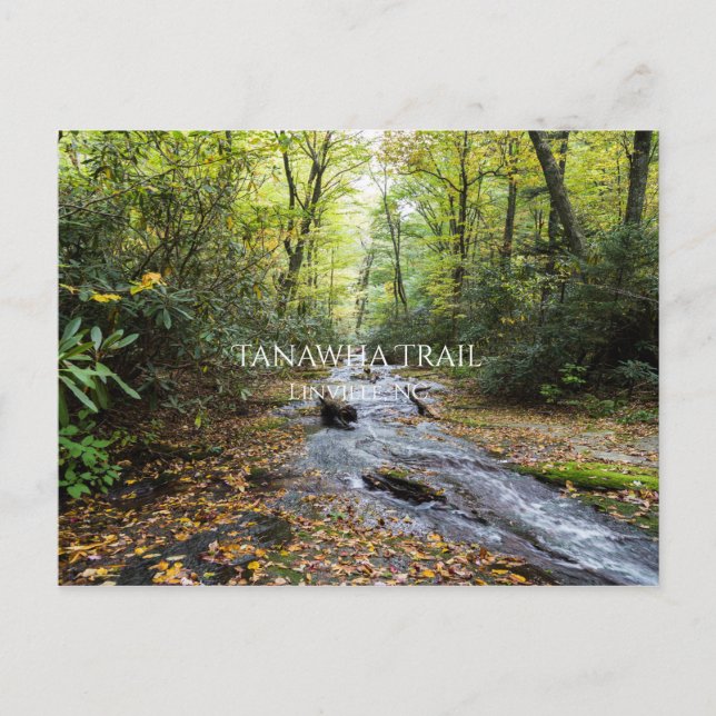 Tanawha Trail Postkarte (Vorderseite)