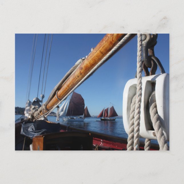 Tanbark Segel of a WA Postkarte (Vorderseite)