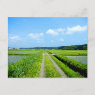 Tanbo Road Postkarte