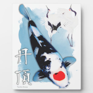 Tancho koi fotoplatte