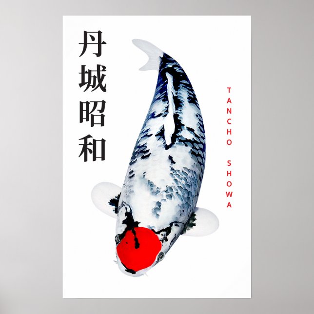 Tancho Showa Koi Elegance Poster (Vorne)