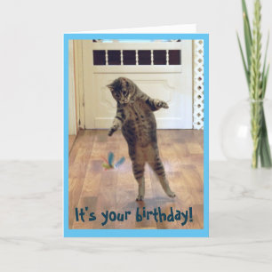 Tancing Tabby Cat Geburtstag Karte