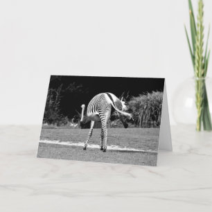 Tancing Zebra Geburtstagskarte Karte