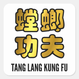 Tang Lang Praying Mantis Kung Fu Golden Script Quadratischer Aufkleber