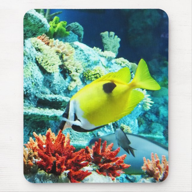 Tang Mousepad (Vorne)