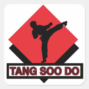 Tang Soo quadrieren Aufkleber