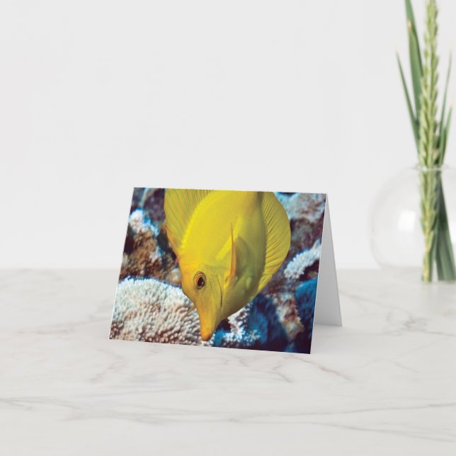 TangEssence Anmerkungs-Karte Karte (Vorderseite)