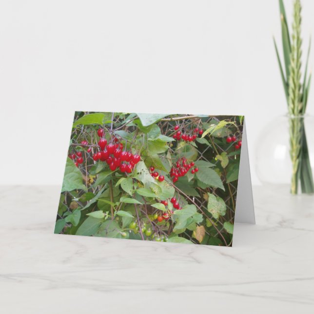 "Tangled Vine" erhält Well Card Karte (Vorderseite)