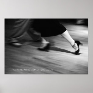 Tango! a photograph by ALXSw Poster