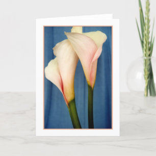 Tango Calla Lily Foto Grußkarte Karte