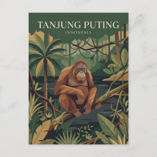 Tanjung Puting Nationalpark Indonesien Postkarte
