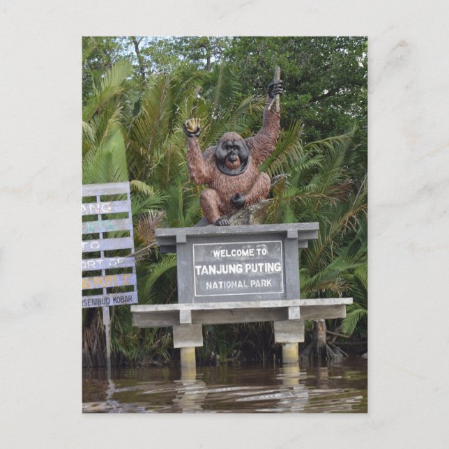 Tanjung Putting Nationalpark, Insel Borneo Postkarte (Vorderseite)