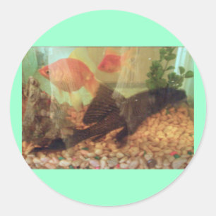 Tankkleber Runder Aufkleber