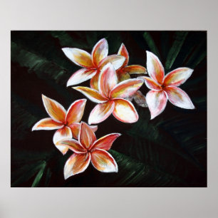 TANPlumeria Poster
