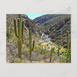 Tanque Verde Canyon Postkarte
