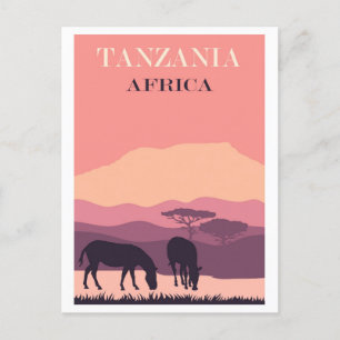Tansania Afrika Pink Vintag Zebra Travel Postkarte