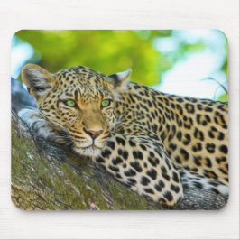Tansania Leopard Mouse Pad Mousepad