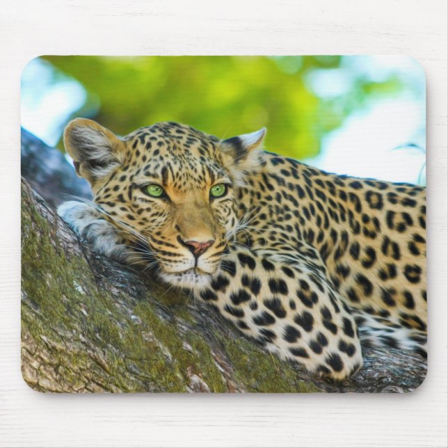Tansania Leopard Mouse Pad Mousepad (Vorne)
